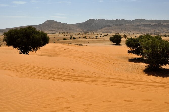 Small desert trip from Agadir